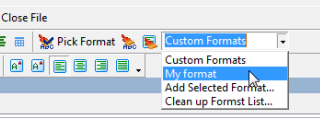 custom formats in RTF editor